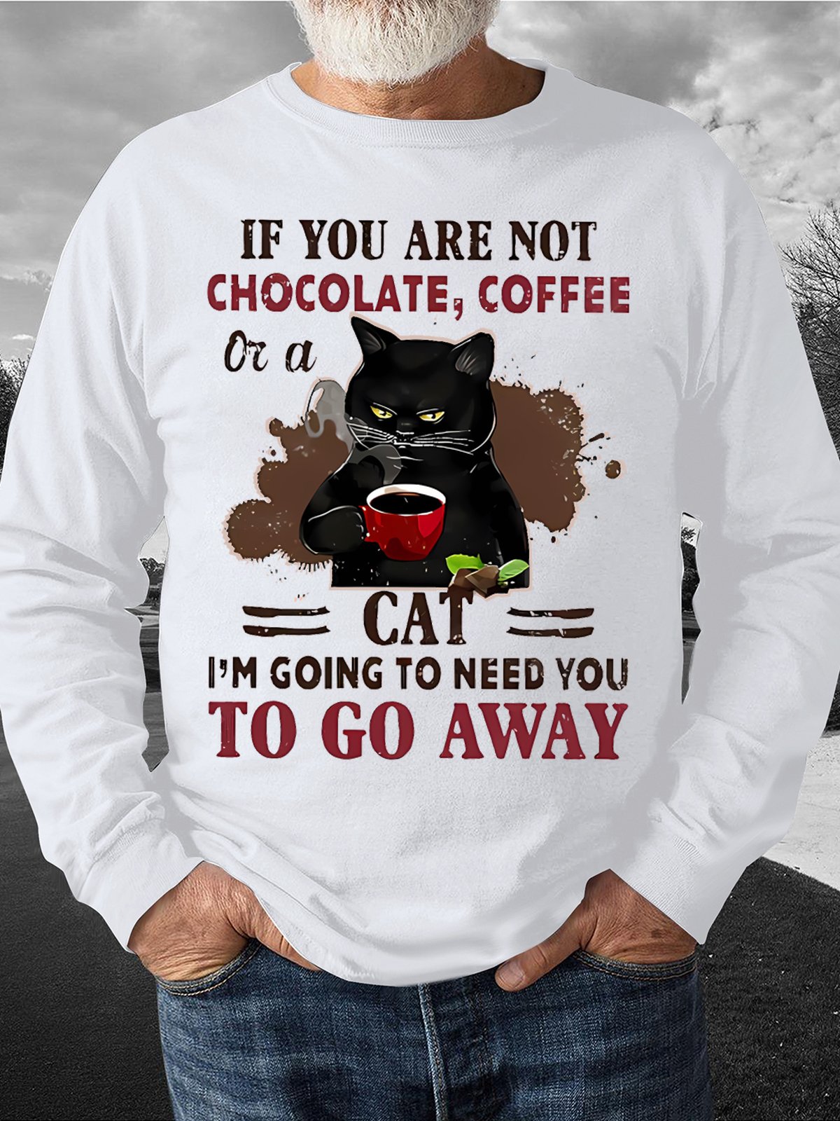 Men's I Am Going To Need You To Go Away Grumpy Cat Funny Graphics Print Casual Loose Text Letters Sweatshirt