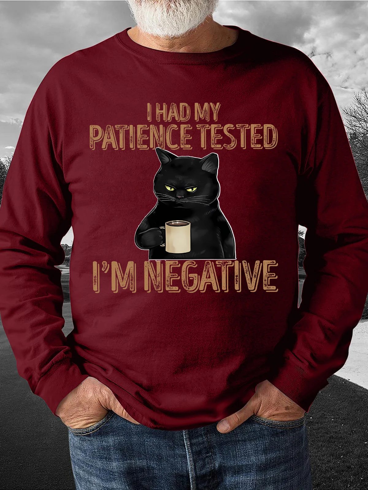 Men's I Had My Patience Tested I Am Negative Funny Graphic Printing Loose Cotton-Blend Casual Text Letters Sweatshirt