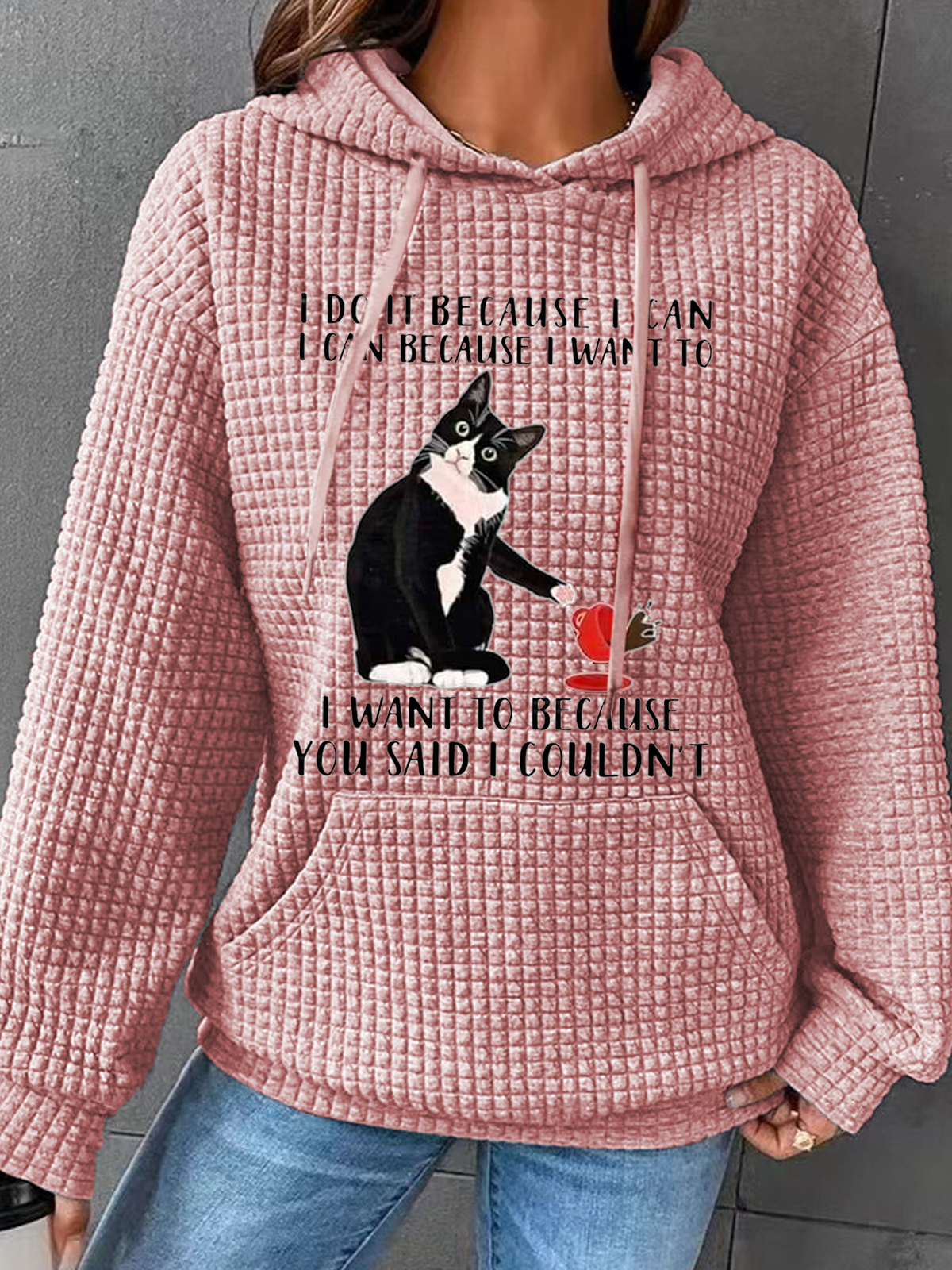 I Do It Because I Can I Can Because I Want To I Want To Because You Said I Couldn't Animal Cat Graphic Animal Simple Hoodie