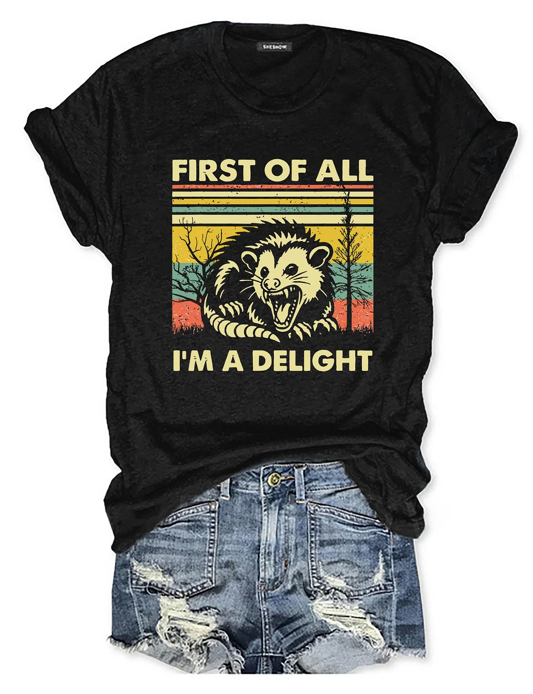 First Of All I'm A Delight Sarcastic Casual Loose Text Letters Crew Neck T-Shirt