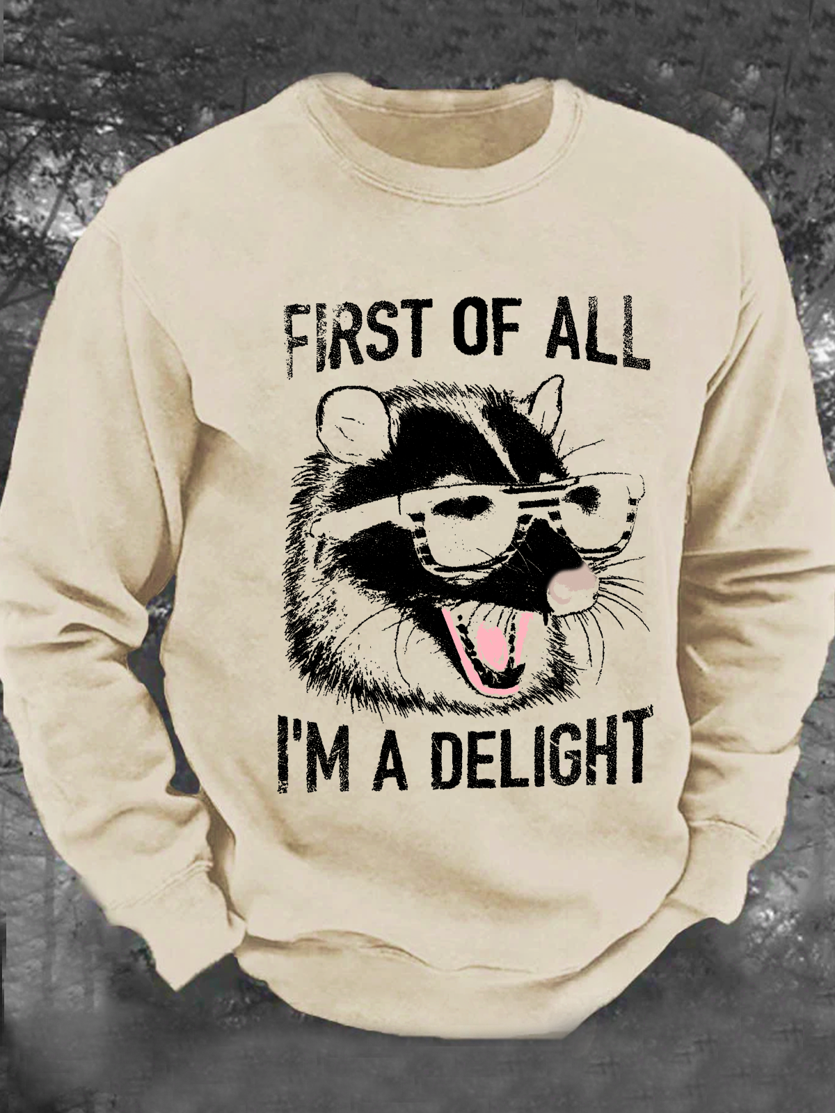 Vintage First Of All I'm A Delight Retro Funny Raccoon Men's Casual Sweatshirt