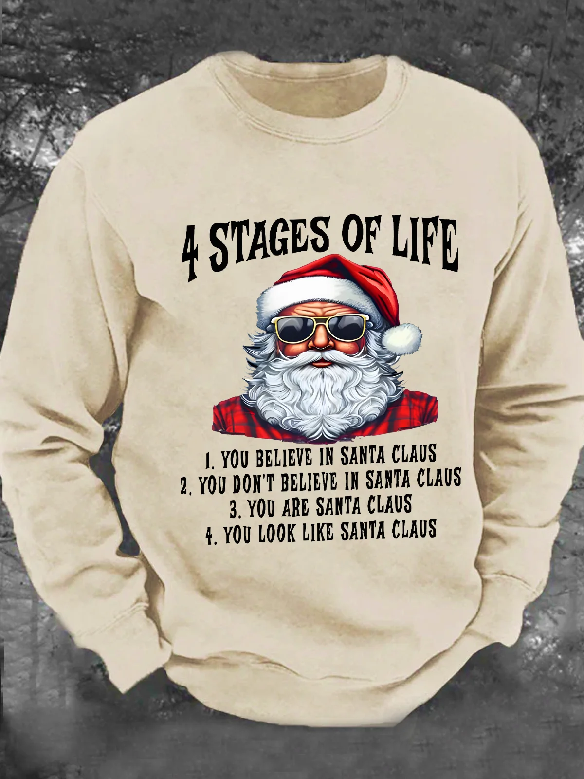 4 Stages Of Life Funny Christmas Men's Casual Sweatshirt