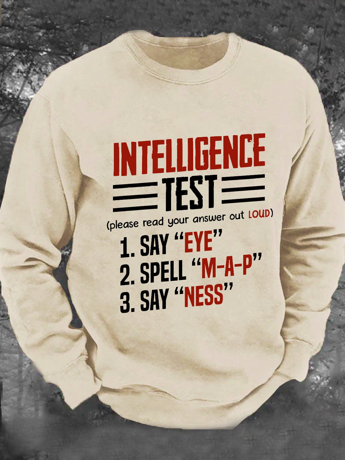 Intelligence Test - Eye M-A-P Ness Men's Casual Sweatshirt