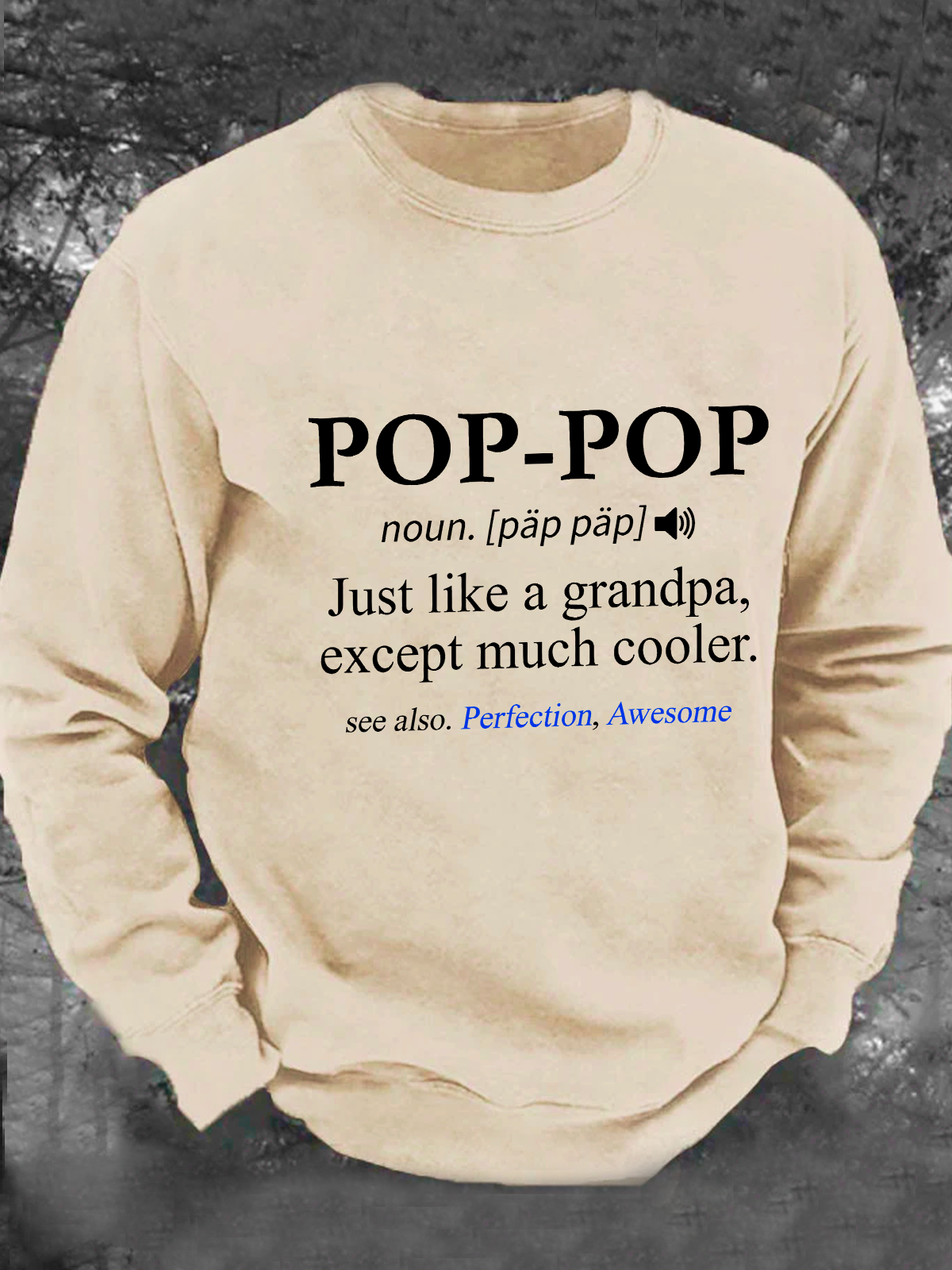 Pop-Pop Definition Grandpa Men's Casual Sweatshirt