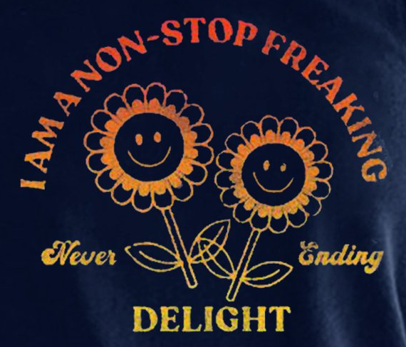 I'm A Non-Stop Freaking Never Ending Delight Women’s Casual Sleeveless Crew Neck Shift T-shirt
