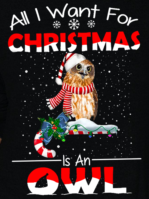 Women Funny All I Want For Christmas Is An Owl  Christmas Gifts For Owl Lovers Long Sleeve Tops
