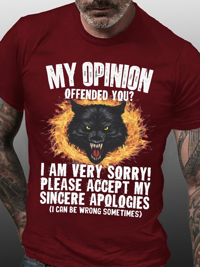 Mens My Opinion Offended You Funny Graphic Print Cotton Casual Text Letters T-Shirt