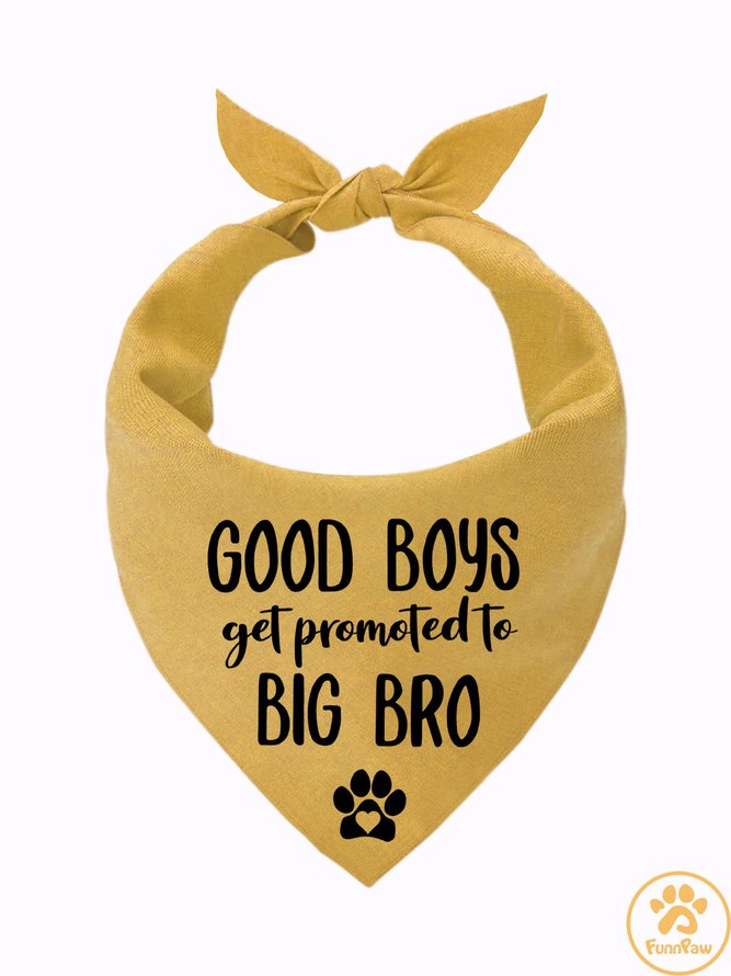 Lilicloth X Funnpaw Good Boys Get Promoted To Big Bro Matching Dog Print Bib