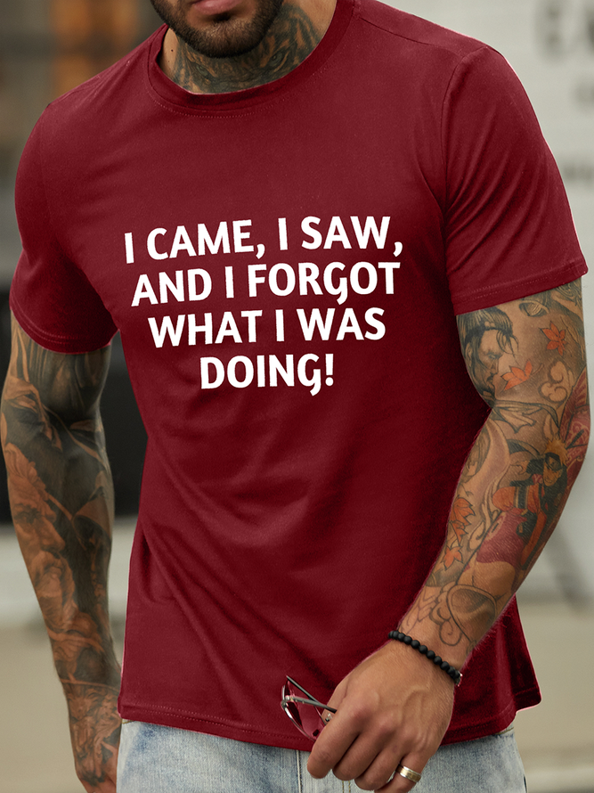 Lilicloth X Kat8lyst I Came I Saw And I Forgot What I Was Doing Cotton Text Letters Crew Neck Casual T-Shirt