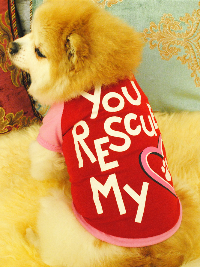 Lilicloth X Funnpaw You Rescued My Heart Dog Outfit