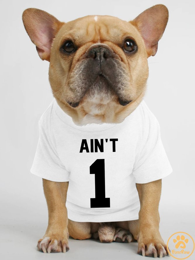 Lilicloth X Funnpaw Ain't 1 Human Matching Dog T-Shirt