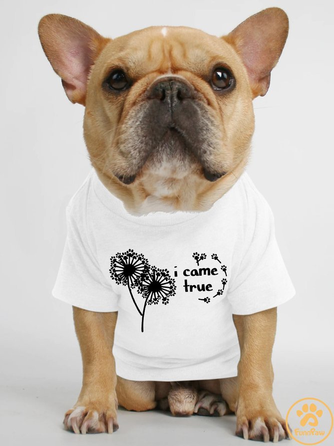 Lilicloth X Funnpaw I Came True Human Matching Dog T-Shirt