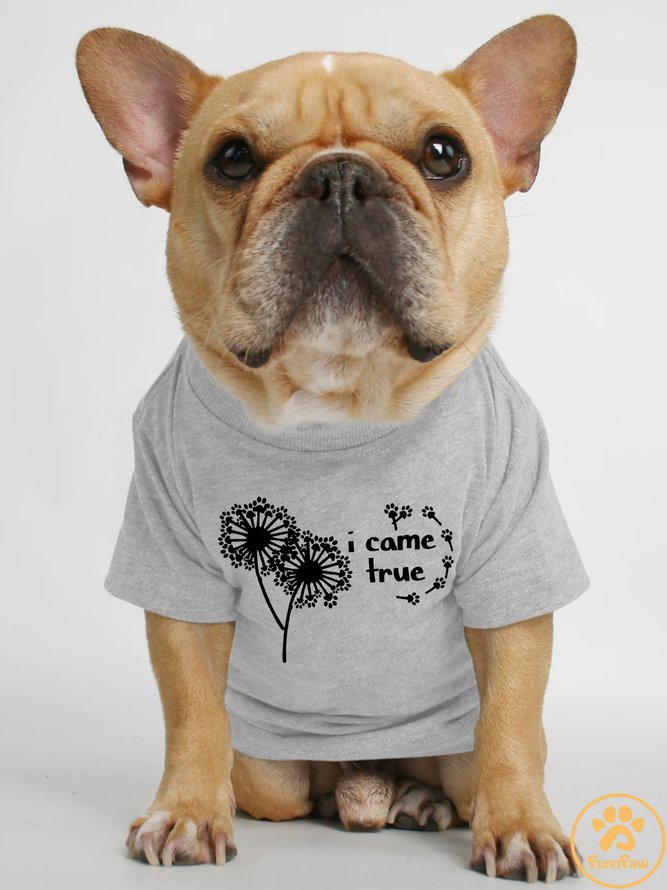 Lilicloth X Funnpaw I Came True Human Matching Dog T-Shirt