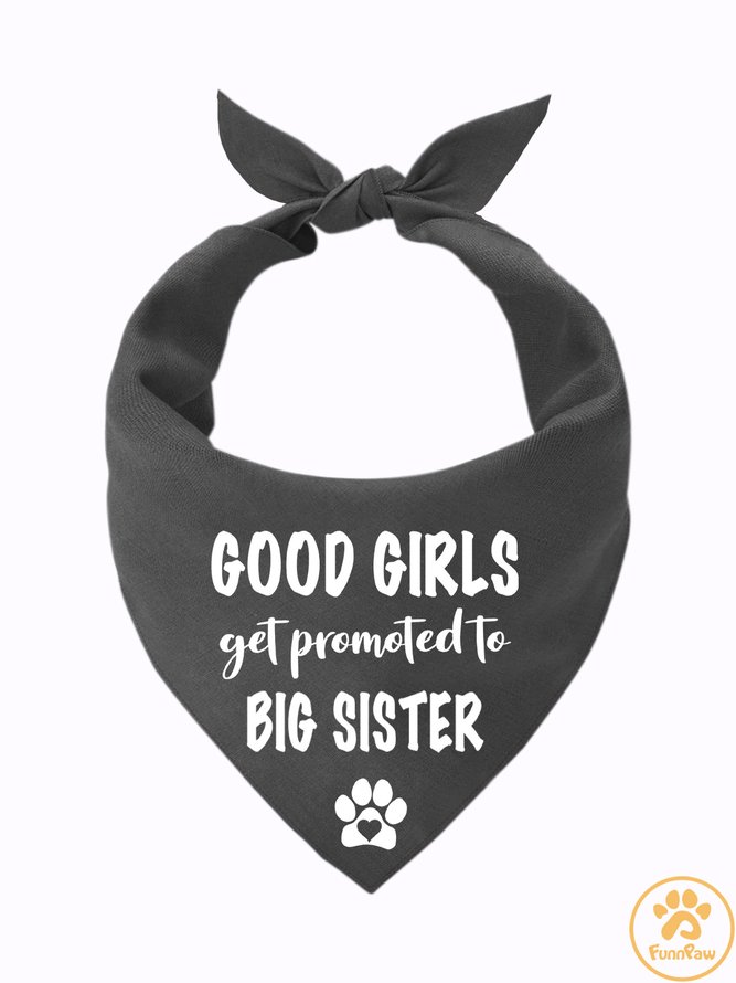 Lilicloth X Funnpaw Good Girls Get Promoted To Big Sister Matching Dog Print Bib