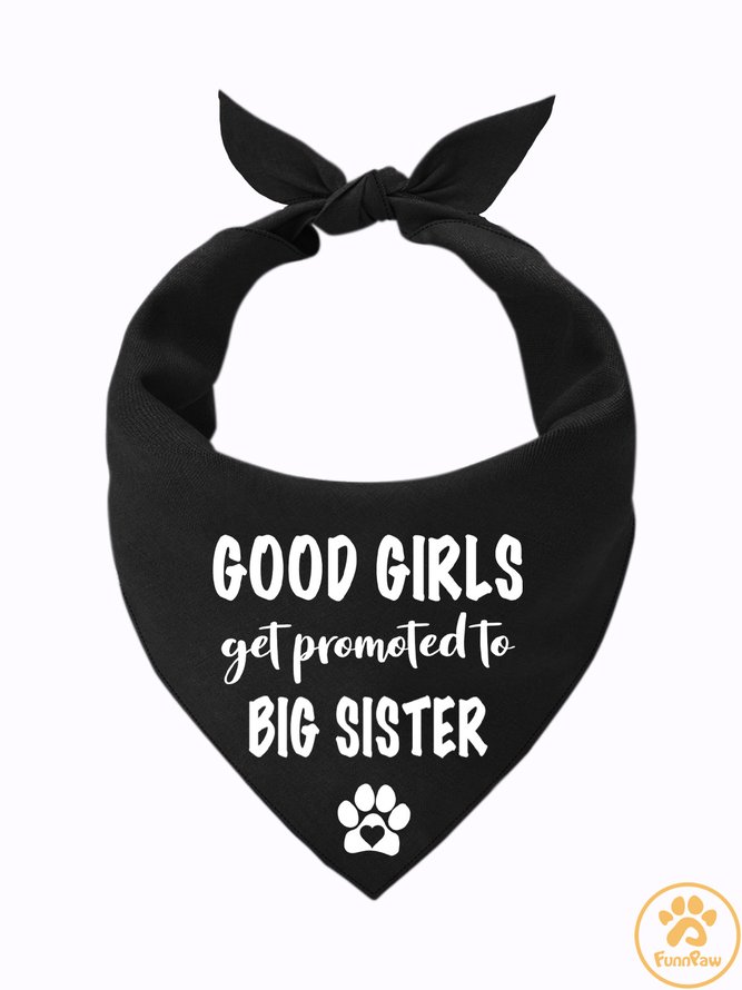 Lilicloth X Funnpaw Good Girls Get Promoted To Big Sister Matching Dog Print Bib