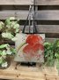 Watercolor Crested Ibis Graphic Canvas Shopping Bag