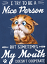 Women Funny Cat Lover I Try To Be A Nice Person But Sometimes My Mouth Doesn’T Cooperate Sweatshirts