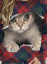 Women's Funny Cat  Raglan Sleeve Plaid Crew Neck Casual Sweatshirt