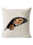18*18 Funny 3D Cat Print Backrest Cushion Pillow Covers Decorations For Home