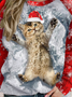 Women’s Christmas Cat Crew Neck Casual Sweatshirt