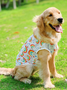 Lilicloth X Funnpaw Summer Thin Large Dog Clothes Pet Printing T-Shirt