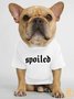 Lilicloth X Funnpaw Spoiled Human Matching Dog T-Shirt