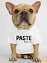 Lilicloth X Funnpaw Paste Ctrl V Human Matching Dog T-Shirt