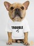 Lilicloth X Funnpaw Trouble Human Matching Dog T-Shirt
