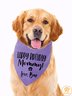 Lilicloth X Funnpaw Happy Birthday Mommy Love Bear Dog Print Bib