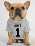 Lilicloth X Funnpaw Ain't 1 Human Matching Dog T-Shirt