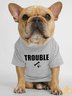 Lilicloth X Funnpaw Trouble Human Matching Dog T-Shirt